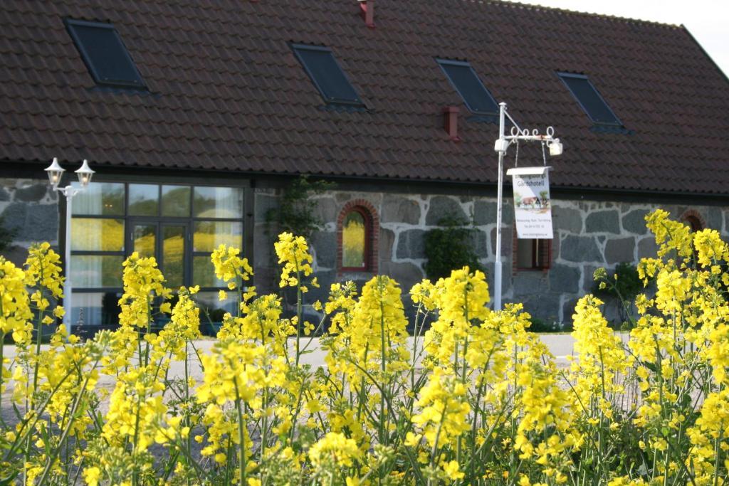 Blasingsborgs Gardshotell Pa Oesterlen Kivik Ngoại thất bức ảnh